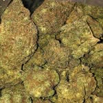 john kush - @johnnkem67 - Instagram