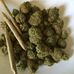 John Kush - Facebook