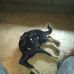 Johnny Kyser - Facebook