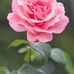 John Ladd - Facebook