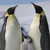 John Lake - @john.lake83 - TikTok