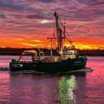 John Lake Shellfish Ltd - @johnlakeshellfish - Instagram