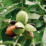 @johnlakos_agri - Instagram