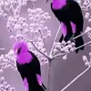 John lala - @johnlala24 - TikTok
