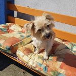 John Lalor - @john.lalor.9279 - Instagram