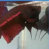 John Lam - @john.lam72 - TikTok
