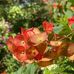 John Lam - Facebook
