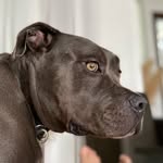 @_johnlamarck - Instagram
