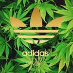 John Lamar - @john_lamar_23 - Instagram