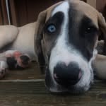 John Lamare - @johnlamare - Instagram