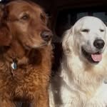 John Lamberton - @john.lamberton.313 - Instagram