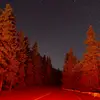 johnlamberts249 - @johnlamberts249 - TikTok
