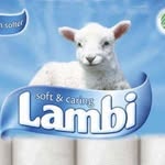 John Lambie - @erasmuslambie - Instagram