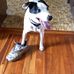 John Lambie - Facebook