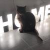 John_lambie - @John_lambie - TikTok