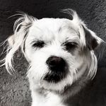 John Lamm - @john_b_lamm - Instagram
