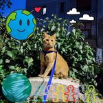 John Lamps Jes - @john_lamps_jes - Instagram