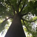 John Lamson - @jbl212 - Instagram