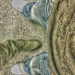 John Landa - @landa.john - Instagram