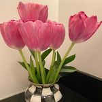 Jon Landau - @__jon_landau_ - Instagram