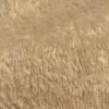 John Lando - @johnlando76 - TikTok