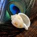 John Lang - Facebook