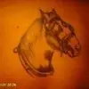 John Langdale273 - @johnlangdale273 - TikTok