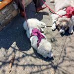 John Langille - @john.langille.71 - Instagram
