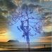 John Langille - Facebook