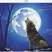 John Langille - Facebook