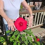 John Langley - @john.langley - Instagram