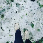 John Lanius - @lanius943 - Instagram