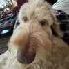 johnlannan - @johnlannan57 - TikTok