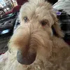john.lannan - @johnlannan570 - TikTok