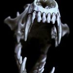 Ashton John Lanning - @coyoteteethe666 - Instagram