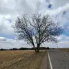 johnlanphear672 - @johnlanphear672 - TikTok