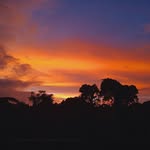J John Lanyon - @jonathanjohnlanyon - Instagram