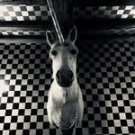 John lanyon - @jlanyon - Instagram