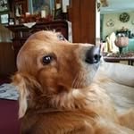 John Lapierre - @johnlapierre - Instagram