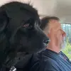John Lapointe - @john.lapointe - TikTok