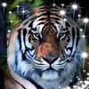 johnlapointe781 - @johnlapointe781 - TikTok