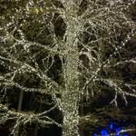John Lapp - @johnlapp - Instagram