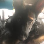 John Lapp - @john.lapp.142 - Instagram