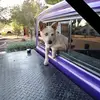 John Lash - @john.lash0 - TikTok