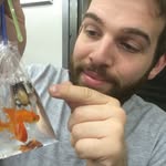 Yorgles - @john.last - Instagram