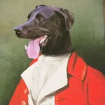 John Laughlin - @laughlin.john - Instagram