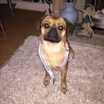 John Laurie - @johnlaurie12 - Instagram