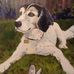 John Lauterbach - Facebook