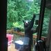John Lauterbach - Facebook