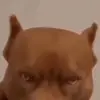 jlavalle10 - @johnlavalle1 - TikTok